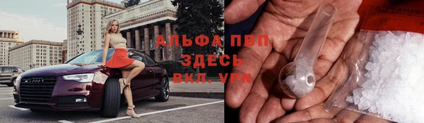 крисы Арсеньев