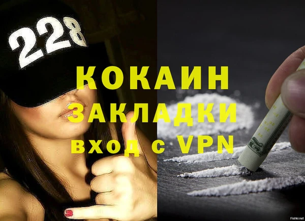 стафф Кодинск