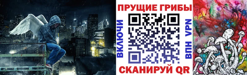 Псилоцибиновые грибы Psilocybine cubensis Карасук